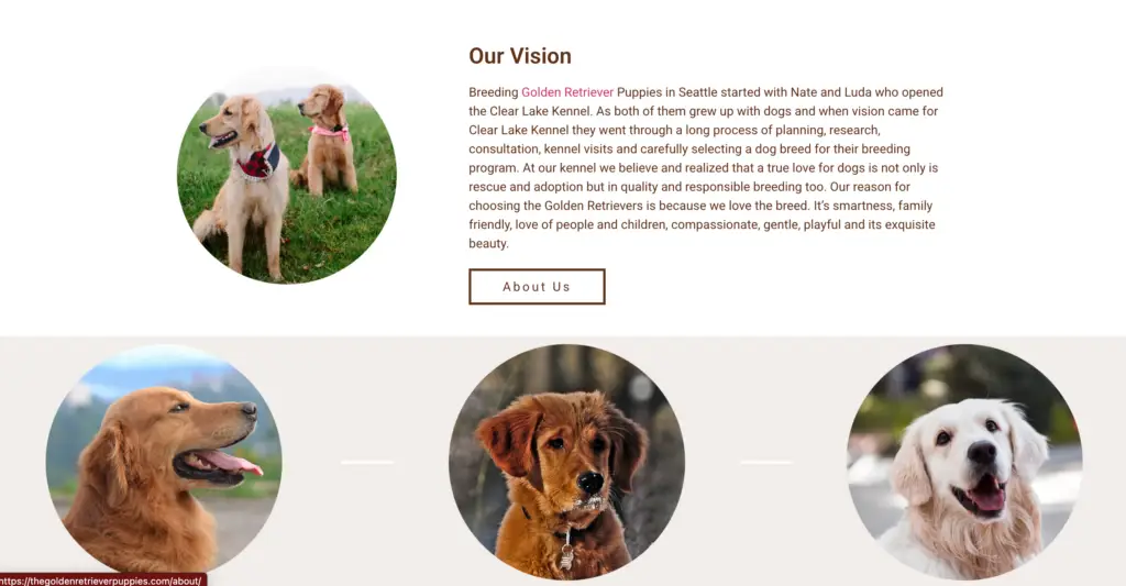 Clear Lake Kennel Web Design in the Seattle Area